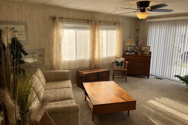 533 Cervina N   contract pending $99,000 